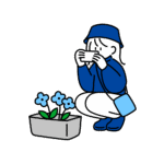 ふわみみ