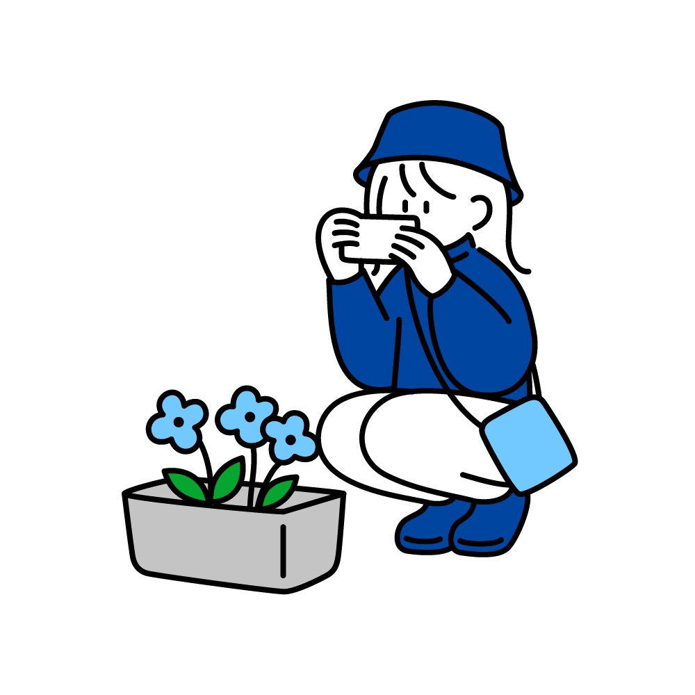 ふわみみ